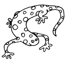 Lizard coloring page