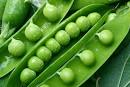 In Season: Green Peas | Serious Eats