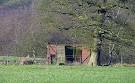 SJ9955 : Old waggon body near - via Daymix