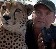 ... scenes of The Cheetah Orphans in an interview with filmmaker Simon King. - 286_cheetahs_simon