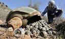 Minister admits cluster bomb tally unknown | UK news | The Guardian