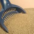 Is your cat litter making you (and your cat) sick? | Daily Loaf