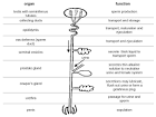 File:Anatomy and physiology of animals Diagram summarising the ... 