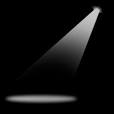 <b>El</b> pr&Atilde;&shy;ncipe de los mirlos: "<b>EL FOCO</b>", de Mar Pav&Atilde;&sup3;n