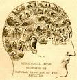 Existential Therapy | Novice Counselor