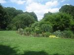File:Greenery at Brooklyn Botanic Gardens IMG 0649.JPG - Wikipedia ...