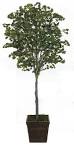 Silk Artificial Trees , Plants, Palms and Topiaries