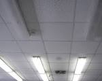 File:Suspended-ceiling-0a.jpg - Wikipedia, the free encyclopedia