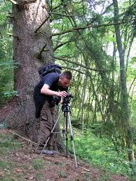 Jörg Barsuhn - Naturfotoarchiv Sonnentau