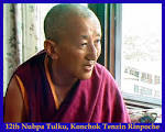 Tulku Nubpa, Konchok Tenzin Rinpoche 1.19mb - nubpa_tulku