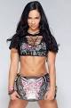 WWE Divas - AJ LEE on Pinterest | 44 Images on aj lee, wwe divas and ���
