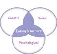 Causes of Eating Disorders lindagraceonline