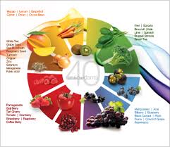 homeopathic treatment for diabetes