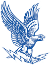 Air Force Falcons Logo - Chris Creamer's Sports Logos Page ...