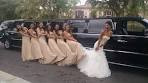 Wedding Limo San Diego | A Plus Limos