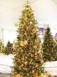 مجموعة صور لأجمل ـشجرة عيد الميلاد - صفحة 6 Images?q=tbn:ANd9GcTf_MWEj6dRHIpfBf-BaQB-DY6Opn07DVvRgntyTzsJXDXd99HE