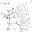 Development of Darwin's theory - Wikipedia, the free encyclopedia