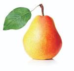 Low Hanging Fruit | Halton Region Small Business Centre Blog