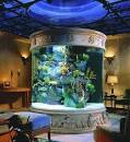 Design A Beautiful Aquarium For Your Home Jabuhu