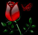  Animated gifs : Roses