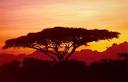 african landscapes