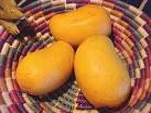 A Mango Varieties.