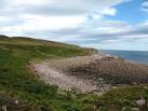 NG7992 : Reminder of a tragedy. 3 km from Cove, Highland, Great Britain - via Daymix