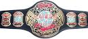 ECW_Heavyweight_Championship.png
