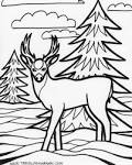 Deer coloring page