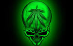 Imagenes De Marihuana