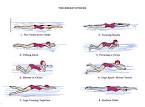 breaststroke2.jpg