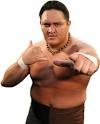 You Book Samoa Joe