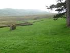 SH7375 : Maen Crwn in situ near Bryn Derwydd. near to Dwygyfylchi, Conwy, - via Daymix