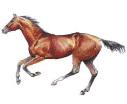 Obrazek