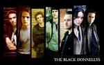 The Black Donnellys Widescreen Wall - The Black Donnellys ...