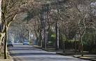 Cyprus Avenue, Belfast - via Daymix