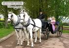 http://www.horsedrawn-carriage.co.uk/images_site/horsedrawn-carriage-white.jpg
