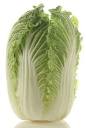 persephone and the pomegranate: week 28: chinese cabbage