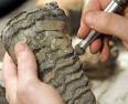 Research Shows Radiometric Dating Still Reliable (