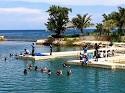 Best Swim with Dolphins: Dolphin Cove Jamaica - Dolphin Encounter ...