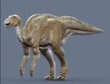 welcome to jurassic park: Dakota: the hadrosaur mummy