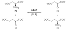 Structural Biochemistry/Enzyme/Double displacement reactions ...