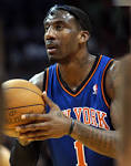 New York Knicks Forward Amar'e
