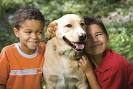Family Pets: Victims of Hard Economic Times - Advocacy For Animals