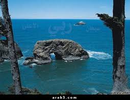 http://t2.gstatic.com/images?q=tbn:ANd9GcTkMHjIEo5J_1zrY7ZCw7RWV3AwNnHu-ggEHVtVcsD5GS6-bqoL