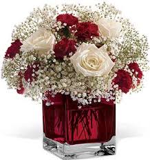 وانتى طيبة ياااريم images?q=tbn:ANd9GcT