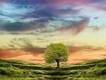 1024x768 Comfortably Numb desktop wallpapers and stock photos