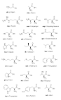 Amino Acids