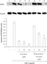 Comparative antiulcer effect of Bisdemethoxycurcumin and Curcumin ...