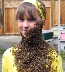bee beard